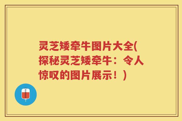 灵芝矮牵牛图片大全(探秘灵芝矮牵牛：令人惊叹的图片展示！)