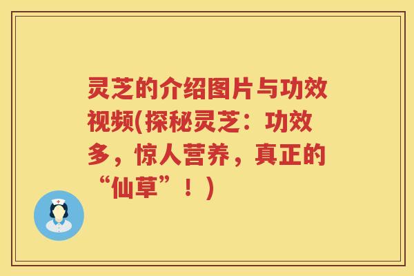 灵芝的介绍图片与功效视频(探秘灵芝：功效多，惊人营养，真正的“仙草”！)