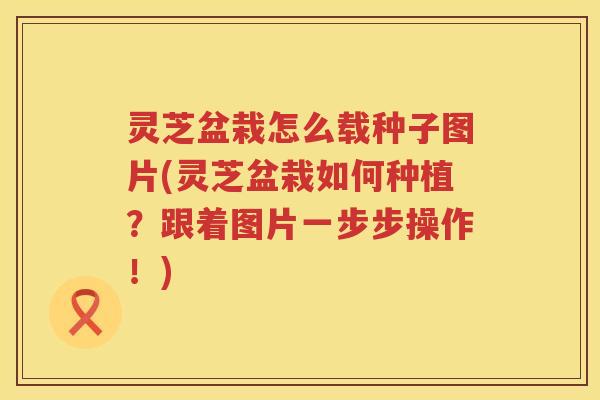 灵芝盆栽怎么载种子图片(灵芝盆栽如何种植？跟着图片一步步操作！)