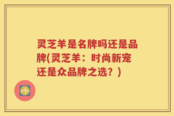 灵芝羊是名牌吗还是品牌(灵芝羊：时尚新宠还是众品牌之选？)