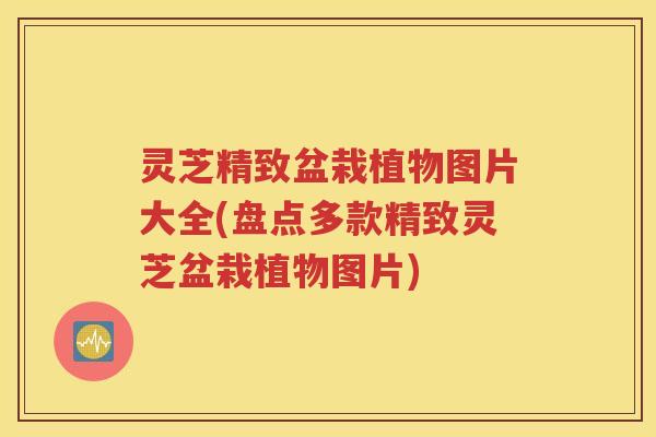 灵芝精致盆栽植物图片大全(盘点多款精致灵芝盆栽植物图片)