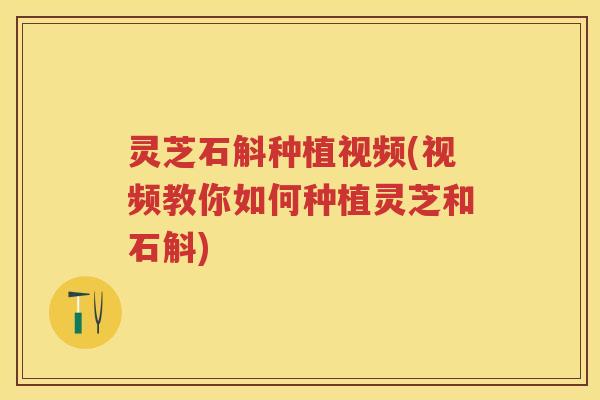 灵芝石斛种植视频(视频教你如何种植灵芝和石斛)
