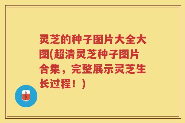灵芝的种子图片大全大图(超清灵芝种子图片合集，完整展示灵芝生长过程！)