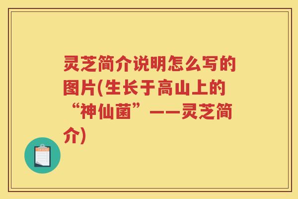 灵芝简介说明怎么写的图片(生长于高山上的“神仙菌”——灵芝简介)