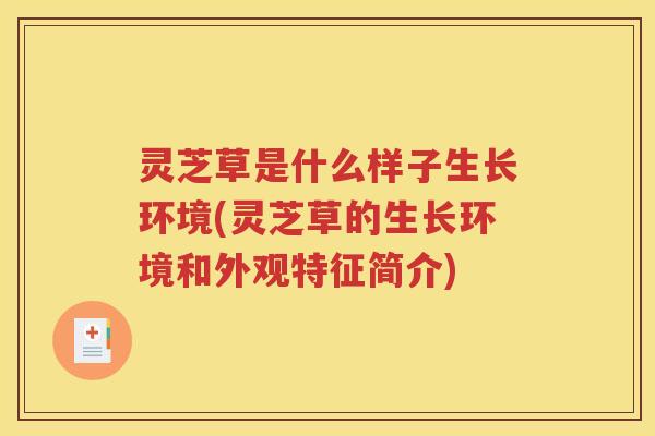 灵芝草是什么样子生长环境(灵芝草的生长环境和外观特征简介)