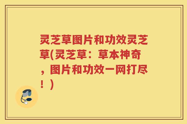 灵芝草图片和功效灵芝草(灵芝草：草本神奇，图片和功效一网打尽！)
