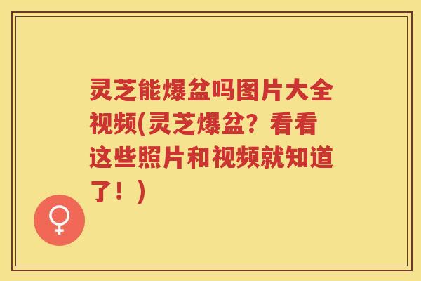 灵芝能爆盆吗图片大全视频(灵芝爆盆？看看这些照片和视频就知道了！)
