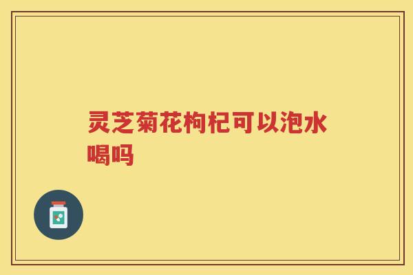灵芝菊花枸杞可以泡水喝吗