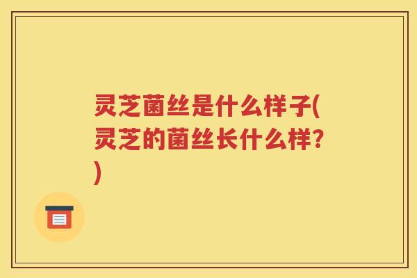 灵芝菌丝是什么样子(灵芝的菌丝长什么样？)