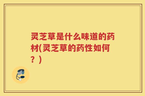 灵芝草是什么味道的药材(灵芝草的如何？)