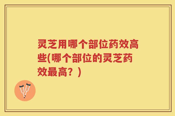 灵芝用哪个部位高些(哪个部位的灵芝高？)