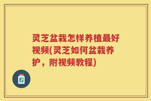 灵芝盆栽怎样养植好视频(灵芝如何盆栽养护，附视频教程)