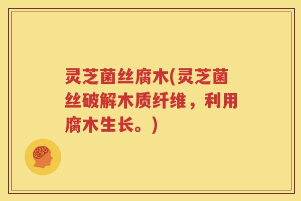 灵芝菌丝腐木(灵芝菌丝破解木质纤维，利用腐木生长。)