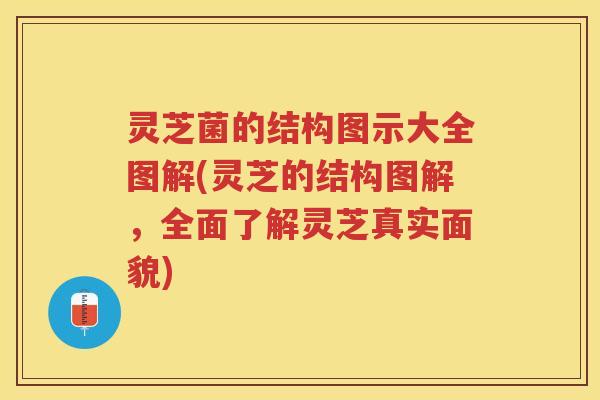 灵芝菌的结构图示大全图解(灵芝的结构图解，全面了解灵芝真实面貌)