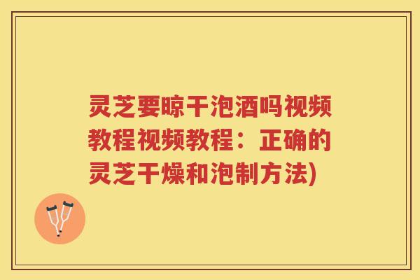 灵芝要晾干泡酒吗视频教程视频教程：正确的灵芝干燥和泡制方法)