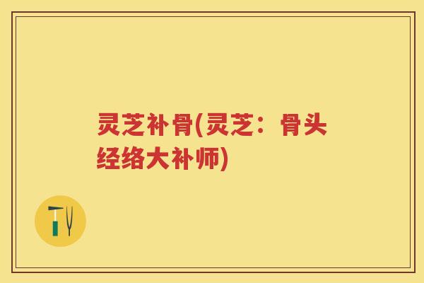 灵芝补骨(灵芝：骨头经络大补师)
