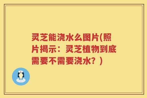 灵芝能浇水么图片(照片揭示：灵芝植物到底需要不需要浇水？)