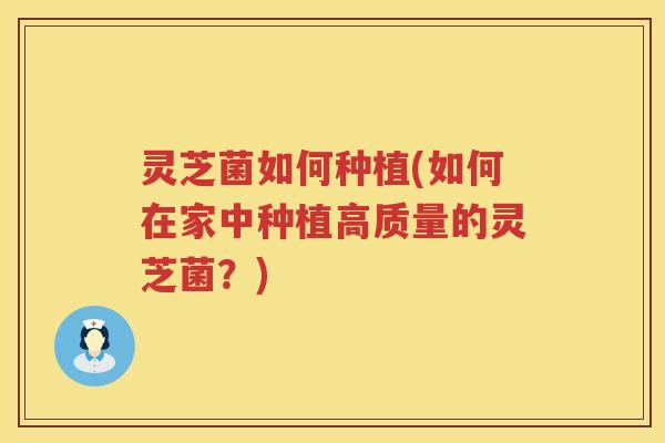 灵芝菌如何种植(如何在家中种植高质量的灵芝菌？)
