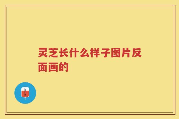 灵芝长什么样子图片反面画的