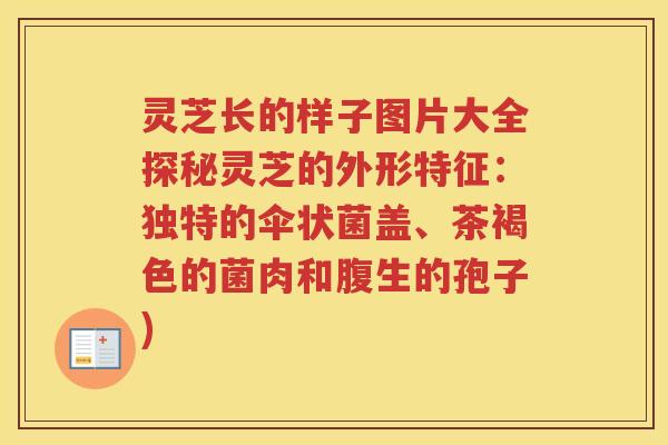 灵芝长的样子图片大全探秘灵芝的外形特征：独特的伞状菌盖、茶褐色的菌肉和腹生的孢子)