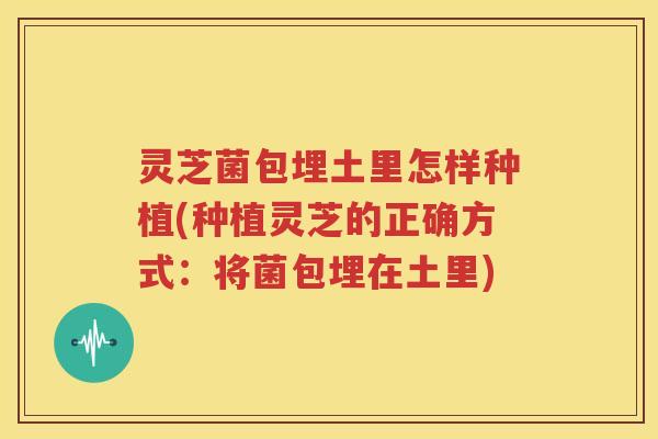 灵芝菌包埋土里怎样种植(种植灵芝的正确方式：将菌包埋在土里)