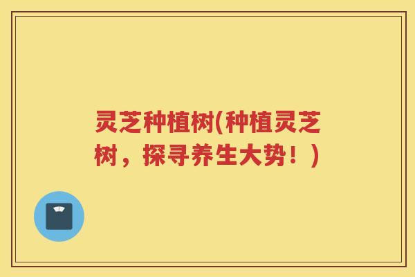 灵芝种植树(种植灵芝树，探寻养生大势！)