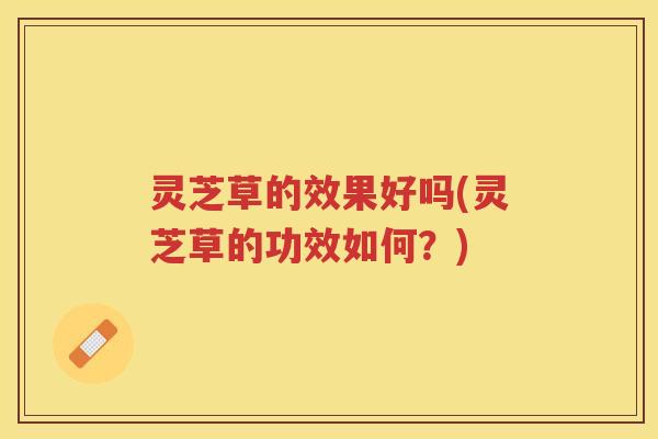 灵芝草的效果好吗(灵芝草的功效如何？)