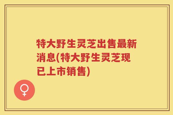 特大野生灵芝出售新消息(特大野生灵芝现已上市销售) 特大野生灵芝出售新消息(特大野生灵芝现已上市销售)