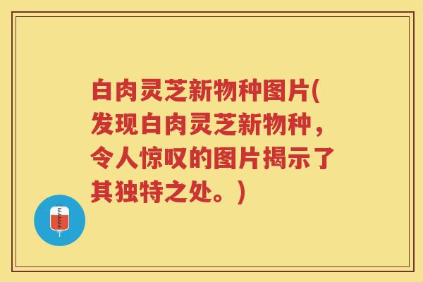 白肉灵芝新物种图片(发现白肉灵芝新物种，令人惊叹的图片揭示了其独特之处。)