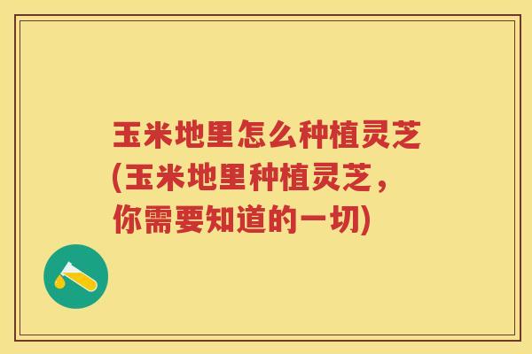 玉米地里怎么种植灵芝(玉米地里种植灵芝，你需要知道的一切)