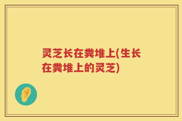 灵芝长在粪堆上(生长在粪堆上的灵芝) 灵芝长在粪堆上(生长在粪堆上的灵芝)