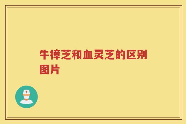 牛樟芝和灵芝的区别图片