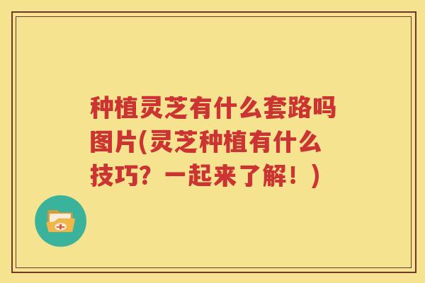 种植灵芝有什么套路吗图片(灵芝种植有什么技巧？一起来了解！)