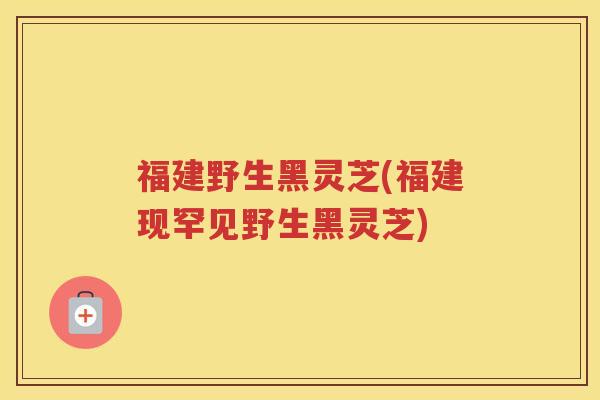福建野生黑灵芝(福建现罕见野生黑灵芝)
