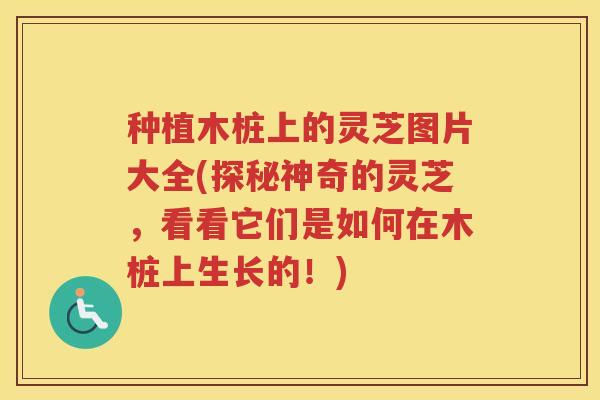 种植木桩上的灵芝图片大全(探秘神奇的灵芝,看看它们是如何在木桩上生长的!) 种植木桩上的灵芝图片大全(探秘神奇的灵芝,看看它们是如何在木桩上生长的!)