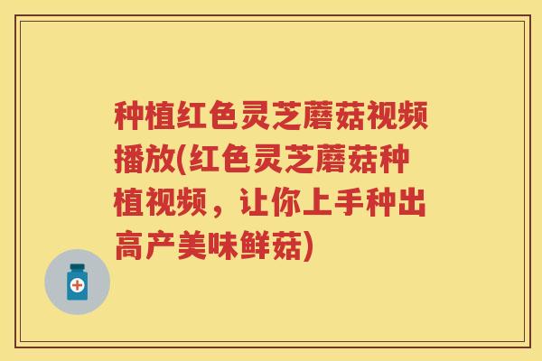 种植红色灵芝蘑菇视频播放(红色灵芝蘑菇种植视频，让你上手种出高产美味鲜菇)