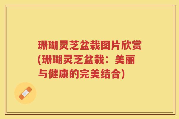 珊瑚灵芝盆栽图片欣赏(珊瑚灵芝盆栽：美丽与健康的完美结合)