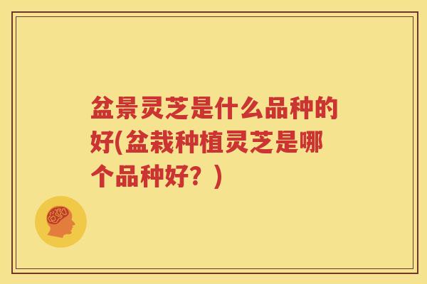 盆景灵芝是什么品种的好(盆栽种植灵芝是哪个品种好？)