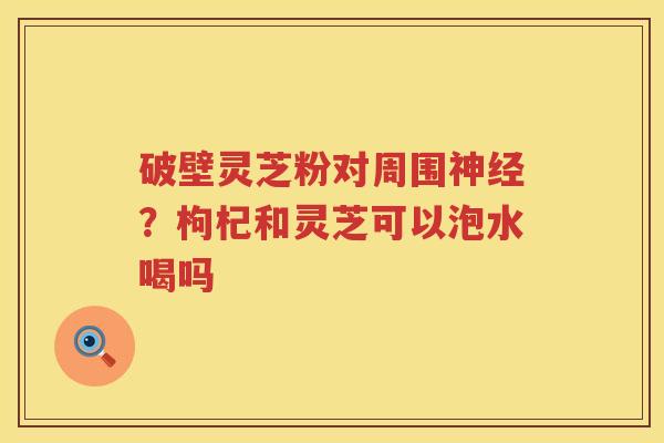 破壁灵芝粉对周围？枸杞和灵芝可以泡水喝吗
