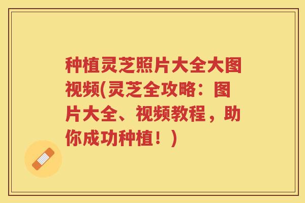 种植灵芝照片大全大图视频(灵芝全攻略：图片大全、视频教程，助你成功种植！)