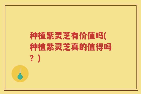 种植紫灵芝有价值吗(种植紫灵芝真的值得吗？)
