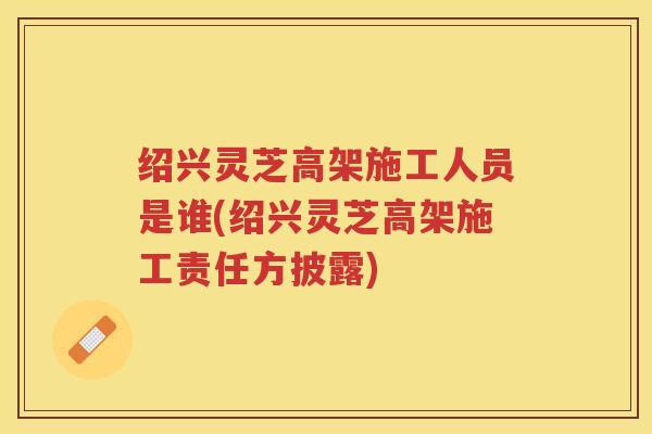 绍兴灵芝高架施工人员是谁(绍兴灵芝高架施工责任方披露)