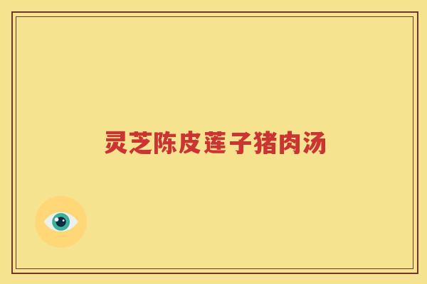 灵芝陈皮莲子猪肉汤