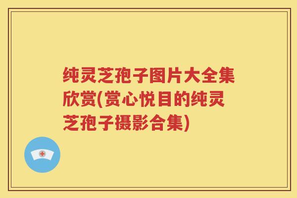 纯灵芝孢子图片大全集欣赏(赏心悦目的纯灵芝孢子摄影合集)