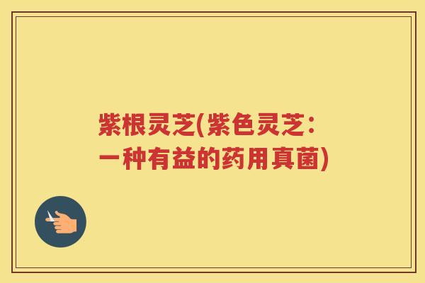 紫根灵芝(紫色灵芝：一种有益的药用真菌)