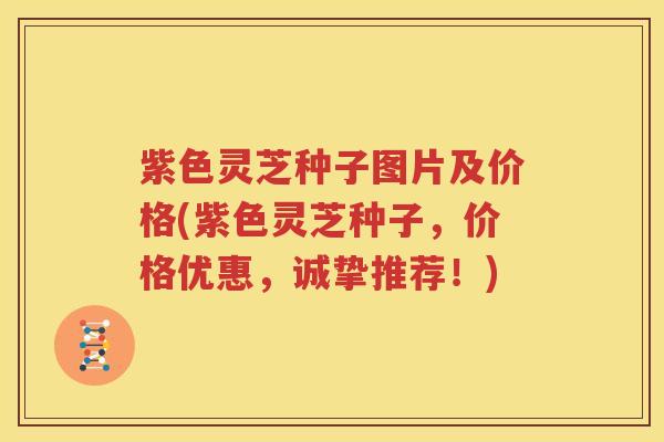 紫色灵芝种子图片及价格(紫色灵芝种子，价格优惠，诚挚推荐！)