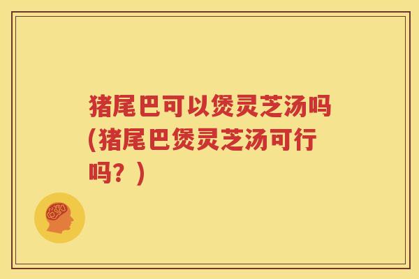 猪尾巴可以煲灵芝汤吗(猪尾巴煲灵芝汤可行吗？)