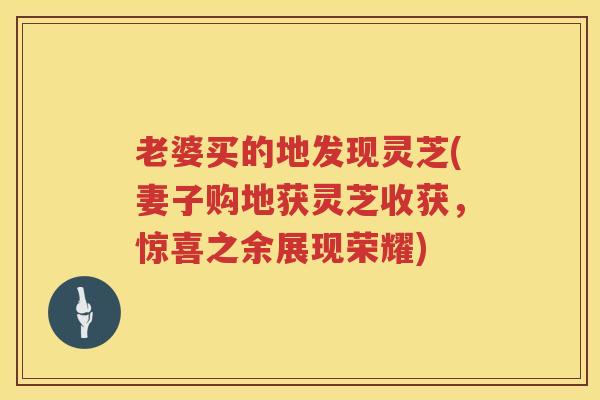 老婆买的地发现灵芝(妻子购地获灵芝收获，惊喜之余展现荣耀)