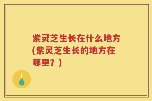 紫灵芝生长在什么地方(紫灵芝生长的地方在哪里？)