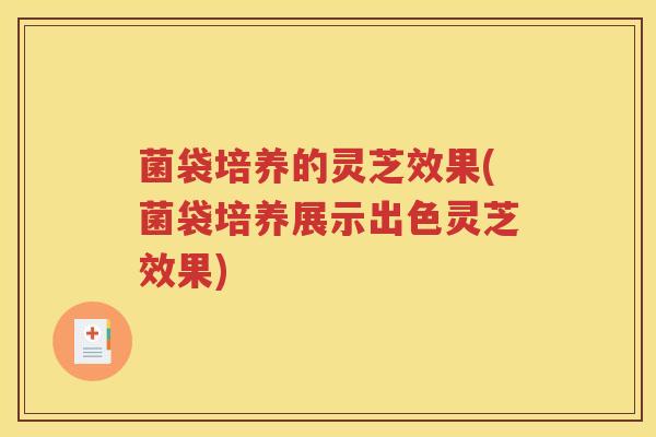 菌袋培养的灵芝效果(菌袋培养展示出色灵芝效果)